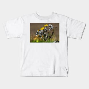 Dandelion  life cycle Kids T-Shirt